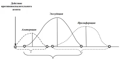 Вымя коровы: болезни и исследование молочной железы