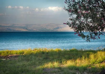 Тивериадское озеро, Озеро Кинерет, Израиль — Галилейское море на карте,  фото, уровень озера сегодня, погода