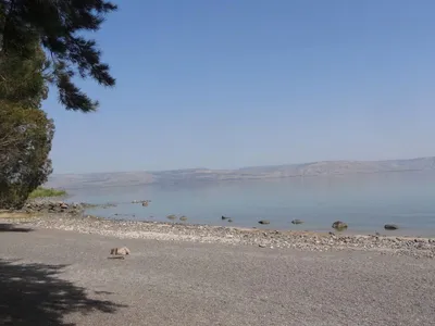 Отдых на Галилейском море из Германии ☀️ Бронируйте сейчас