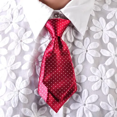 Бант галстук для девушек и девочек купить в интернет-магазине Ярмарка  Мастеров по цене 500 ₽ – HWREZBY | Галстуки, Москва - доставка по России