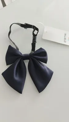 Купить Галстук для девушек. галстуки hand made | Skrami.ru