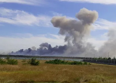 Гарнизон и Канон на защите сои в Амурской области - Алексей Зимин -  30.09.2020 - Отзыв - ООО ТД Кирово-Чепецкая Химическая Компания