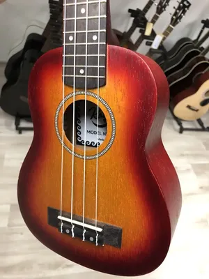 Укулеле сопрано TERRIS JUS-10 BK гавайская гитара для начинающих, цвет  черный - купить с доставкой по выгодным ценам в интернет-магазине OZON  (821859763)