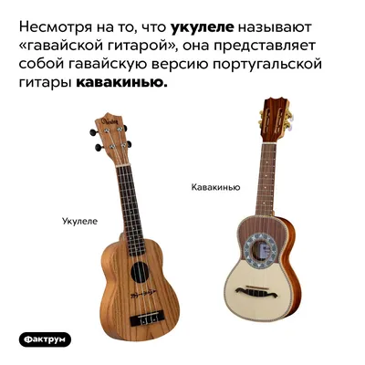 Укулеле Kapok Lus 144, гавайская гитара: 499 грн. - Акустические гитары  Днепр на Olx
