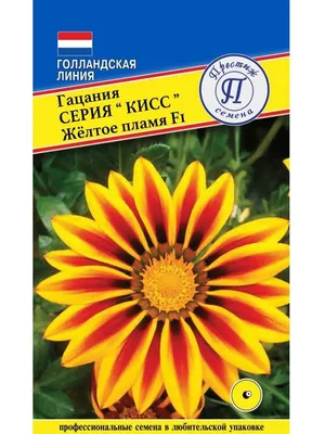 Гацания, Газания Престиж семена гацаниясемена - купить по выгодным ценам в  интернет-магазине OZON (292207359)