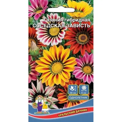 Семена Газания Соседская зависть - гибридная(а/ф Уральский Дачник) купить  за 40 р. в садовом центре АСТ Медовое