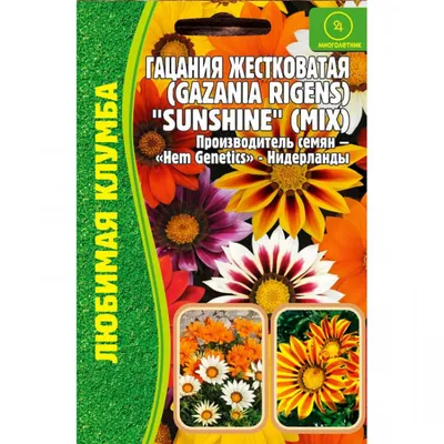 Семена цветов Поиск Газания гибридная, смесь, 0,25 г купить в Москве по  цене 48.00 р с доставкой в интернет-магазине | ФРОНТМАСТЕР