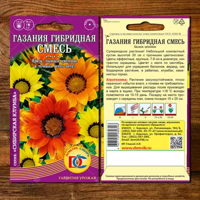 Газания (Гацания) Фрости Кисс F1 Микс (Frosty Kiss F1 Mix) семена купить в  Украине | Веснодар