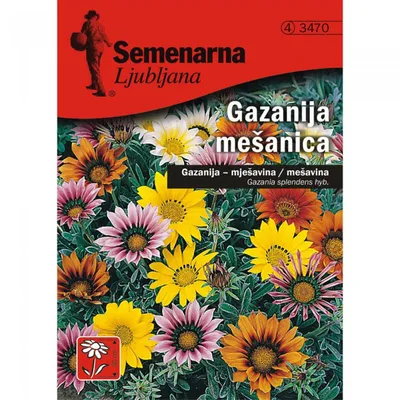 Семена цветов Газания Gazania splendens hib.-Mix ⋆ MASTERHAUS