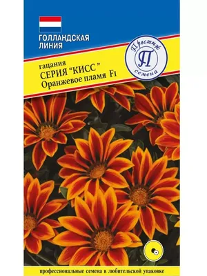 Купить семена Гацания/Газания Рассвет F1 тигровая смесь окрасок (Аэлита),  семена гацании в интернет-магазине Калинка.Маркет заказать почтой