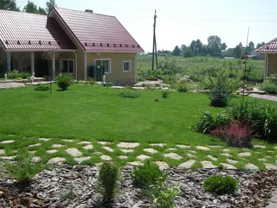 Рулонный газон в СПб от 150 руб./рулон | Газоны и Ландшафты