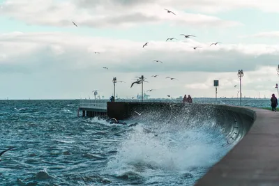 Brzezno Beach, Гданьск: лучшие советы перед посещением - Tripadvisor