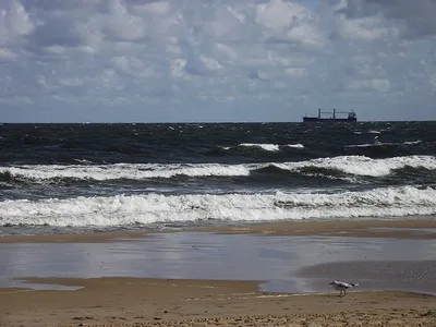 Brzezno Pier, Гданьск: лучшие советы перед посещением - Tripadvisor