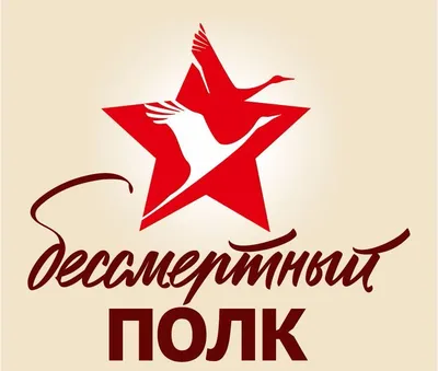 Более 5,5 тысяч приморцев заявили о своих героях на онлайн-шествии \"Бессмертного  полка\" - PrimaMedia.ru