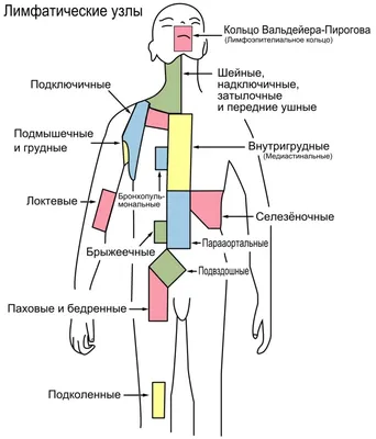 Воспаление лимфоузла под мышкой - что делать?