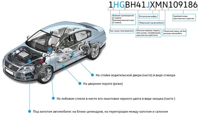 Главный перевозчик. История Volkswagen Transporter