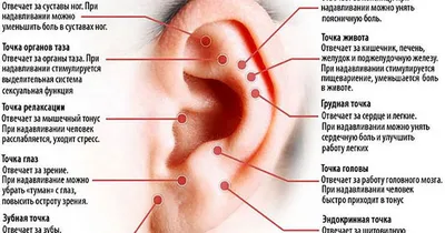 Где находится точка G — блог медицинского центра ОН Клиник