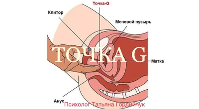 Точка G