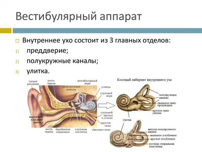 Пазл Eurographics 1000 деталей: Сердце (6000-0257) - купить в интернет  магазине - 1001puzzle.ru