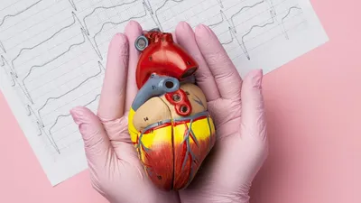 Купить картину Сердце человека на стену от 530 руб. в DasArt