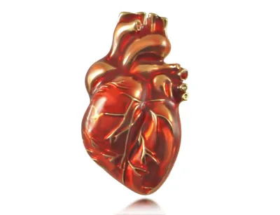 3 D Иллюстрация Сердца Медицинское Понятие — стоковые фотографии и другие  картинки Сердце человека - Сердце человека, Человеческое тело,  Здравоохранение и медицина - iStock