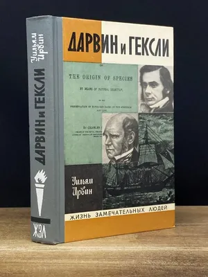 гексли - Фрилансер Nura Glumm Kozhanchek - Портфолио - Работа #3729934