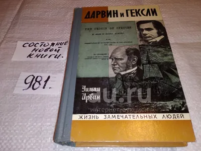 Гексли (ИЭЭ-И) – самый общительный в соционе | Винегрет по-есенински.  Соционика | Дзен