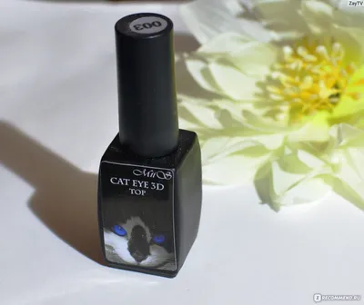 Гель-лак Nail Republic Magic Cat 3D №28, 10 мл купить в магазине NailBox за  465 р. и другие nail republic бренда Nail Republic