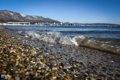 В Геленджике запретили купаться в море из-за прорыва канализации. Власти  отрицают загрязнение