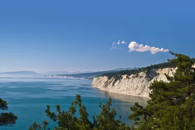 Пробы воды в Черном море в Геленджике соответствуют нормам -  Роспотребнадзор - Юг и Северный Кавказ || Интерфакс Россия