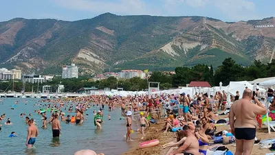 Отдых на море в Геленджике в 2023 году: обзор песчаных, галечных и диких  пляжей, где лучше остановиться и как провести время — Яндекс Путешествия