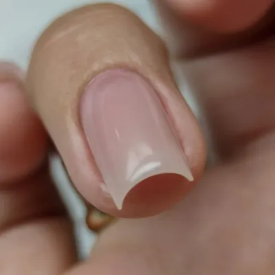 Гелевые типсы для наращивания ногтей глянцевые формы Миндаль 240 шт  прозрачные - купить с доставкой по выгодным ценам в интернет-магазине OZON  (611238238)