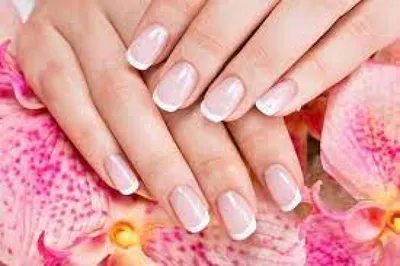 Французский маникюр 2020-2021 модный дизайн ногтей с полоской фото |  WOMENSNOTES | Elegant nails, Flower nails, French manicure nails