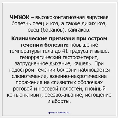 Лечение всех видов конъюнктивита в сети клиник НИАРМЕДИК