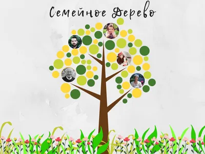 Генеалогическое древо: шаблоны и инструкция | Canva