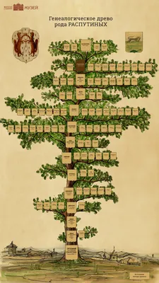 Как оформить родословное дерево с Canva | Генеалогия для всей семьи