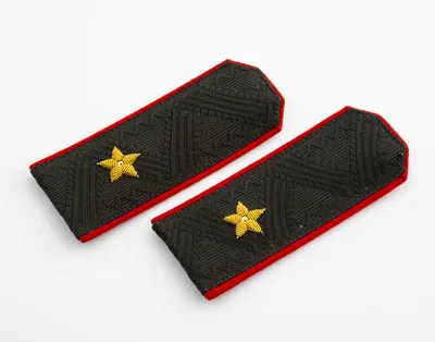 Погоны \"Генерал 1 ранга\" Полиции, на липучке (ID#1631171596), цена: 450 ₴,  купить на Prom.ua