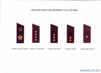 Воинские звания и погоны в армии России по возрастанию | Войсковые Части  России | Дзен