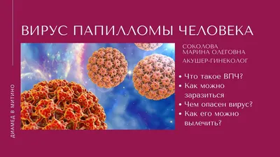 Вирус папиломы человека: симптомы, типы вируса и лечение в Красноярске