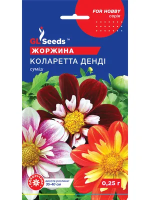 Георгина ДЭНДИ (смесь) [0,2г] (ID#1731944464), цена: 9 ₴, купить на Prom.ua