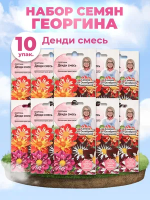 Семена цветов Георгина Поиск Коларетте дэнди микс 0,2 г — цена в Оренбурге,  купить в интернет-магазине, характеристики и отзывы, фото