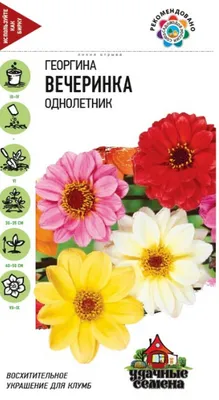 Семена Георгинов Денди – купить в интернет-магазине OZON по низкой цене