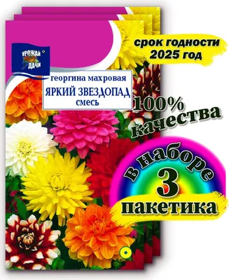 Георгины однолетние, Георгины Урожай удачи цветы1 - купить по выгодным  ценам в интернет-магазине OZON (942860702)