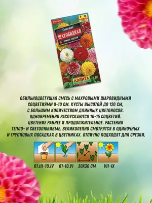 Купить семена Георгин Опера красная — от НПО Сады Росcии