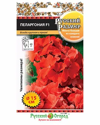 Семена цветов Пеларгония герань многолетник — купить в интернет-магазине по  низкой цене на Яндекс Маркете