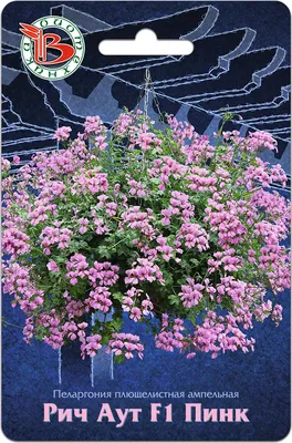 Семена цветов Герань, \"Водопад лета\", плющелистная, смесь, 5 шт. (5431402)  - Купить по цене от 123.00 руб. | Интернет магазин SIMA-LAND.RU