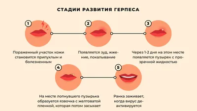 Центр общественного здоровья и медицинской профилактики ХМАО – Югры