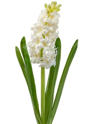 Купить Гиацинт белый цветок искусственный