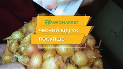 Выращивание лука и чеснока по Лунному календарю в 2024 году | На грядке  (Огород.ru)