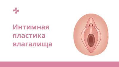 Лабиопластика малых половых губ в Минске: цены на интимную пластику